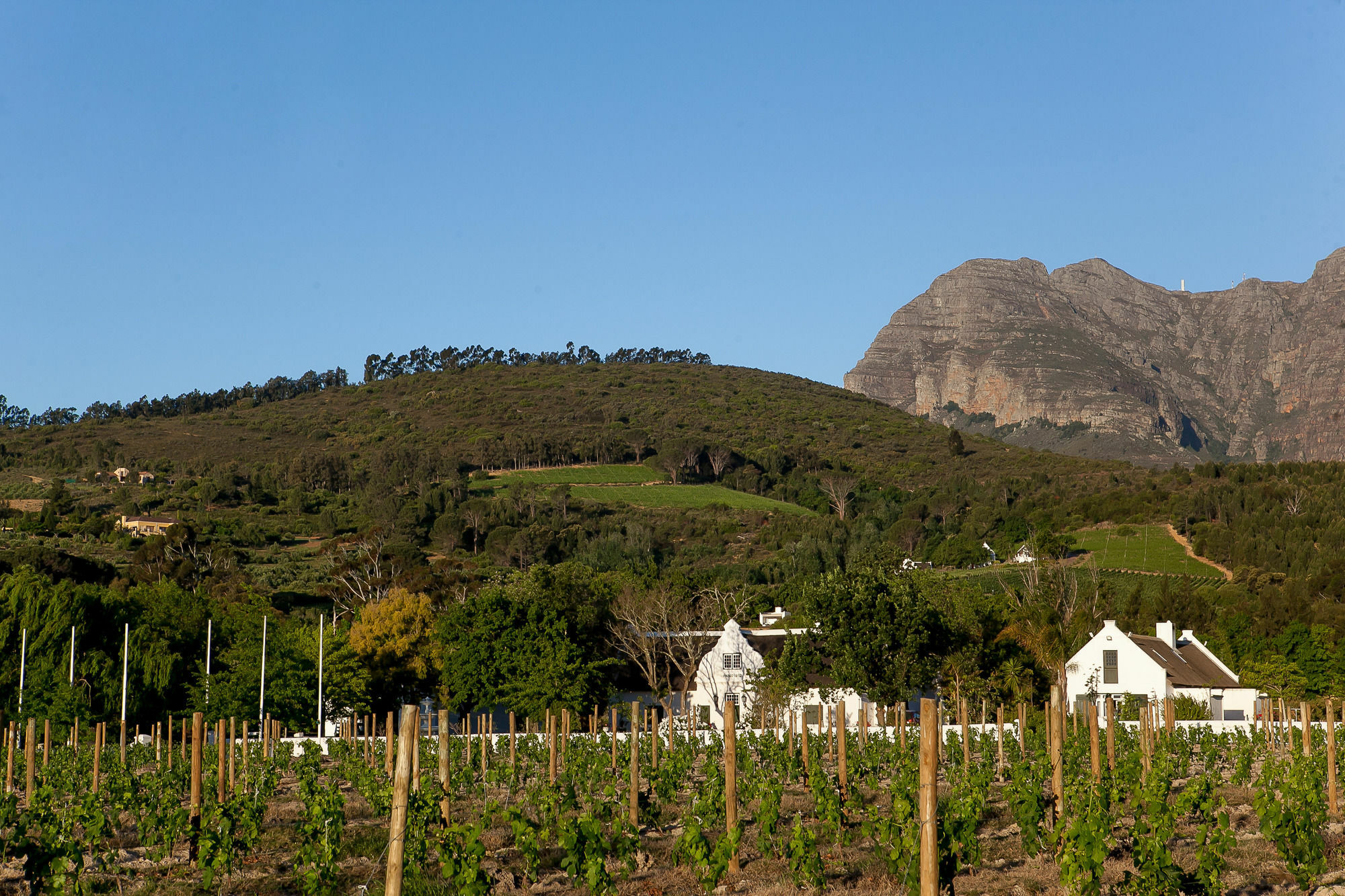 1692 De Kleijne Bos Country House Paarl Exteriör bild