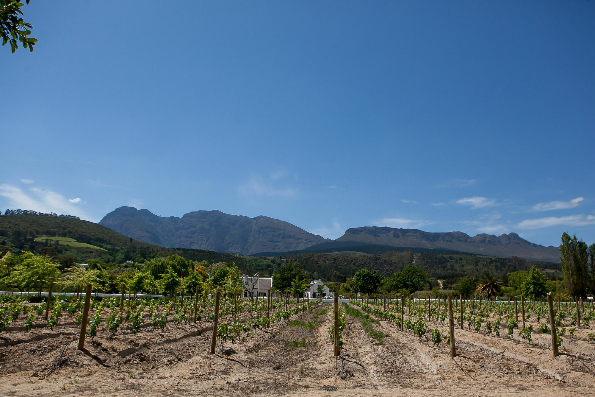 1692 De Kleijne Bos Country House Paarl Exteriör bild