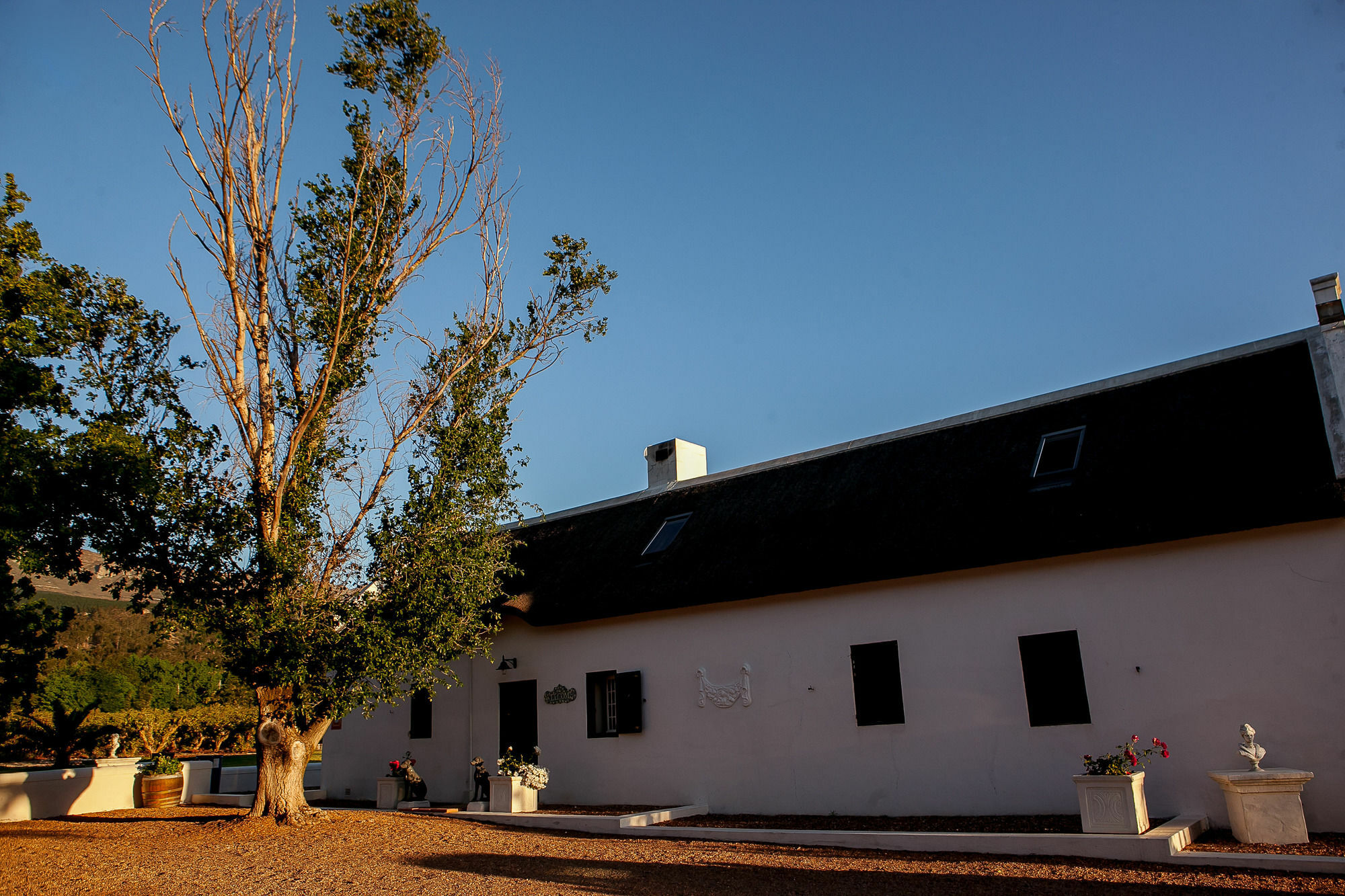 1692 De Kleijne Bos Country House Paarl Exteriör bild